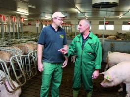 Gesch�ftsf�hrer Bodo Zier (rechts) und Mitarbeiter Ronny Haufe sind heute froh, sich f�r die Selbstfangfressst�nde bei der Gruppenhaltung der Sauen entschieden zu haben. &copy; Foto: Br�unig