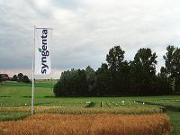 Syngenta.jpg 