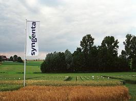 In den n�chsten zehn Jahren will Syngenta den Umsatz in Afrika auf eine Milliarde Dollar steigern.&copy; Syngenta