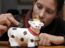 F�r viele Menschen ist ein Mix aus Teilzeitjob im erlernten Beruf, Nebenerwerbslandwirtschaft und Zusatzeinkommen auf selbstst�ndiger Basis gelebte Realit�t.&copy; M�hlhausen/landpixel
