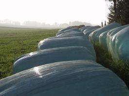 F�r bestehendes Dauergr�nland soll ein Umbruchverbot auf betrieblicher Ebene gelten.&copy; Sigrid Christl/pixelio