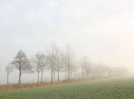 Der Nebel in den vergangenen Wochen verhinderte trotz ausbleibendem Regen Trockensch�den im Wintergetreide. &copy; Andrea Kusajda/pixelio.de