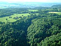 wald-13.jpg 