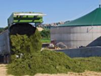 af_biomasse.jpg Biogas