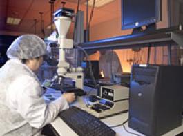 Beim Erreger handelt es sich um eine unbekannte Mutation des H1N1-Virus.&copy; Christian Delbert/Fotolia