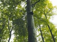 17_Vordruck_CO2-Speicher_Foto.jpg 