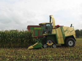 Feldh�cksler Big X mit Raupenfahrwerk &copy; Krone