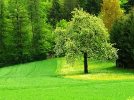 agrarheute fragt seine Leser nach ihren Bed�rfnissen an eine gute Wettervorhersage. &copy; Rainer Sturm/pixelio