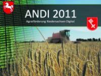 13_BF_ANDI_1.jpg 
