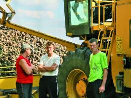 F�r ihre Industrier�ben bekommen Landwirte mehr Geld als vor zwei Jahren. Doch der Anbau ist nicht immer lohnenswert. 