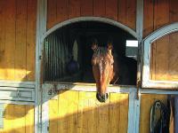 _Stallklima_Fensterbox_AUFM 