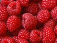 ft_raphaellevy.JPG Himbeeren