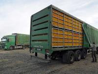 masthaehnchen_transport.jpg 