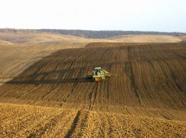 F�r alle Sommergetreidearten zusammen erwartet das ukrainische Landwirtschaftsministerium eine Anbaufl�che von 9,5 Millionen Hektar.&copy; M�hlhausen/landpixel.de