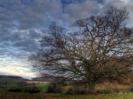 Am ersten Tag des meteorologischen Winters, am Donnerstag, ziehen vom Westen her Regenwolken auf - in weiten Teilen Deutschlands bleibt es dennoch trocken.&copy; Eva Lechner/aboutpixel
