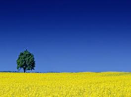 &copy; Slawomir Jastrzebski/fotolia