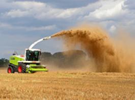 Stroh h�ckseln (klick aufs Bild)&copy; Landliveuser   CLAAS600