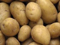 Kartoffeln.jpg 