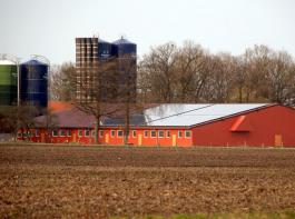 Der Staat unterst�tzt Landwirte bei der Weiterentwicklung ihrer Betriebe.&copy; landpixel.de