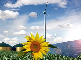 Erneuerbare Energien schaffen neue Arbeitspl�tze.&copy; M�hlhausen/Landpixel