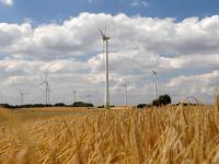 Windpark_Selmsdorf_600.jpg 