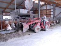 Landwirt_Milchkuehe_Futter.jpg 