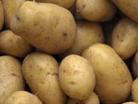 Kartoffeln_600.jpg 