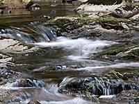 Wasser_by_Thomas-Buttler_pi.jpg 