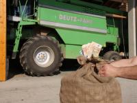 Geld_M�hdrescher_web.jpg 