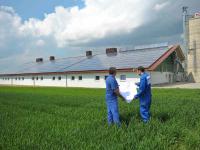 Stall-mit-Solarzellendach.jpg 