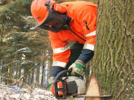 Der Druck auf die W�lder nimmt zu. Die endlichen fossilen Rohstoffe werden knapper und der Holzverbrauch steigt.&copy; Peter Kamp/pixelio