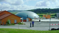 temp Image