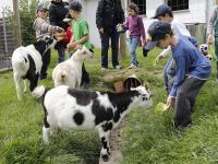 Kinder_Bauernhof_600.jpg 