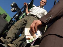 Vor allem Landbesitzer, nicht die Landwirte selbst, profitieren nach Ansicht des Professors von den Direktzahlungen.&copy; M�hlhausen/landpixel