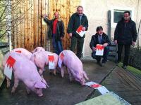 _N�rnberg_Bratwurst_LF_B 