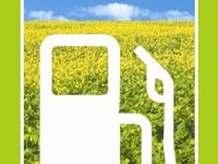 2-10-Biodiesel-Foto.jpg 