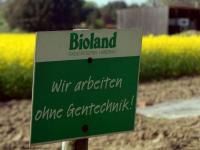bioland-schild-raps.jpg 