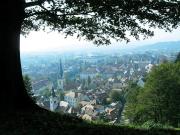 Teaser Bild