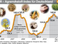 Rohstoffindex_08_2011.jpg 