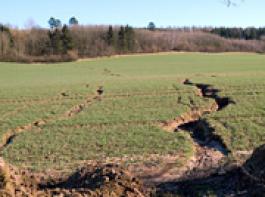 Bundestag beschlie�t Verschiebung des Erosionskatasters auf Mitte 2010 
