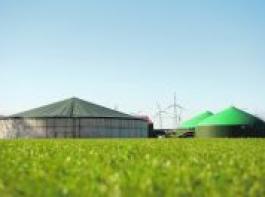 Die Biogasanlage der agroEn Bioenergie GmbH & Co. KG in Hunteburg soll mit m�glichst wenig Mais auskommen.  Foto: B�ske