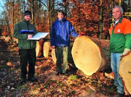 Am Wertholzplatz in Wasserlosen: (v. l.) Patrick Schelbert, Amt f�r Ern�hrung, Landwirtschaft und Forsten (AELF) Schweinfurt, forstlicher Berater der FBG Schweinfurt, Johannes Neubauer, Gesch�ftsf�hrer der FBG Schweinfurt, Alfred Heil, Gemeindearbeiter Wasserlosen, Betreuer des Submissionsplatzes in Wasserlosen bei der Vorbereitung der Submission. &copy; Foto: FBG
