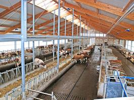 Landwirte setzen immer mehr auf die Vorteile eines modernen Laufstalls. � Haubner