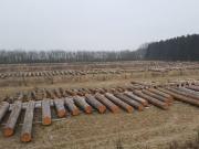 Teaser Bild