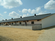 af_Schweinehalle.jpg