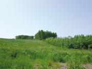 Teaser Bild