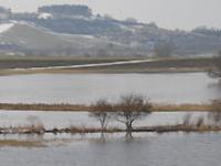 Hochwasser3.jpg Hochwasser