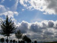 Himmel_Baume.jpg 