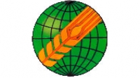 temp Image