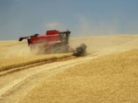 ft_Jim-Parkin2.jpg Getreide, USA